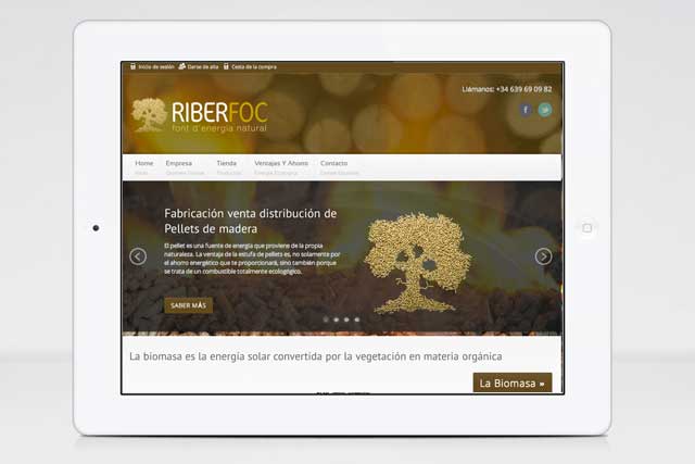 Responsive Design - Riberfoc